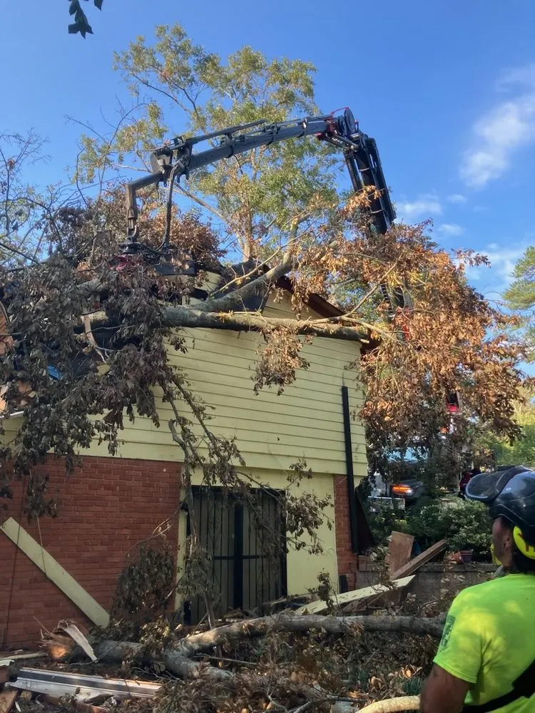 Affordable landscape installation experts serving Rochester, PA - Keystone Tree Techs