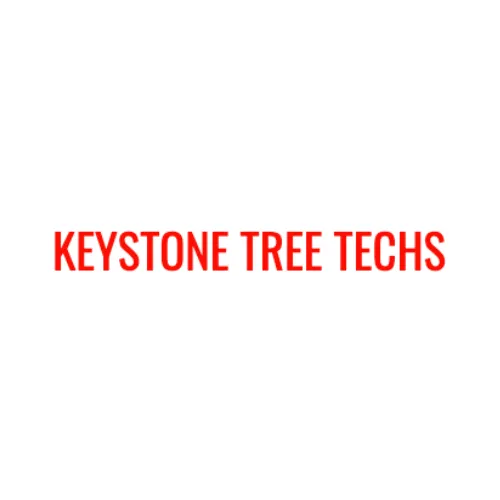 Professional yard cleanup service in Rochester, PA by Keystone Tree Techs