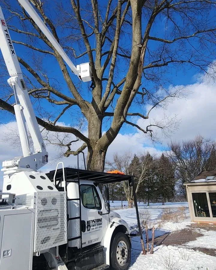 Custom lawn care service in Rochester, PA - Keystone Tree Techs