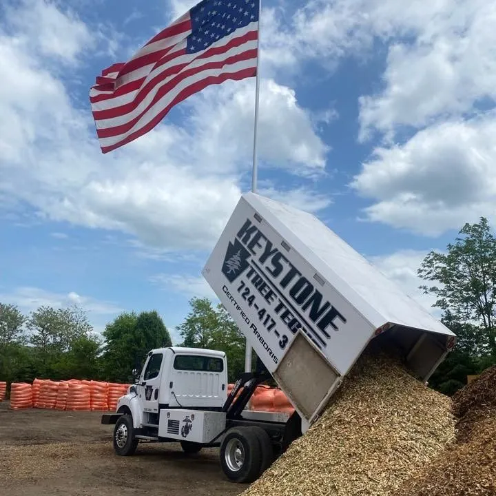 Trusted landscaping services in Rochester, PA - Keystone Tree Techs