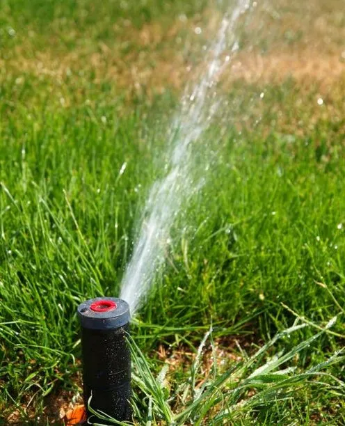 Custom landscape installation experts serving Fruita, CO - KF Services