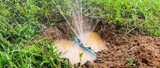 Custom residential landscaping near you in Fruita, CO by KF Services