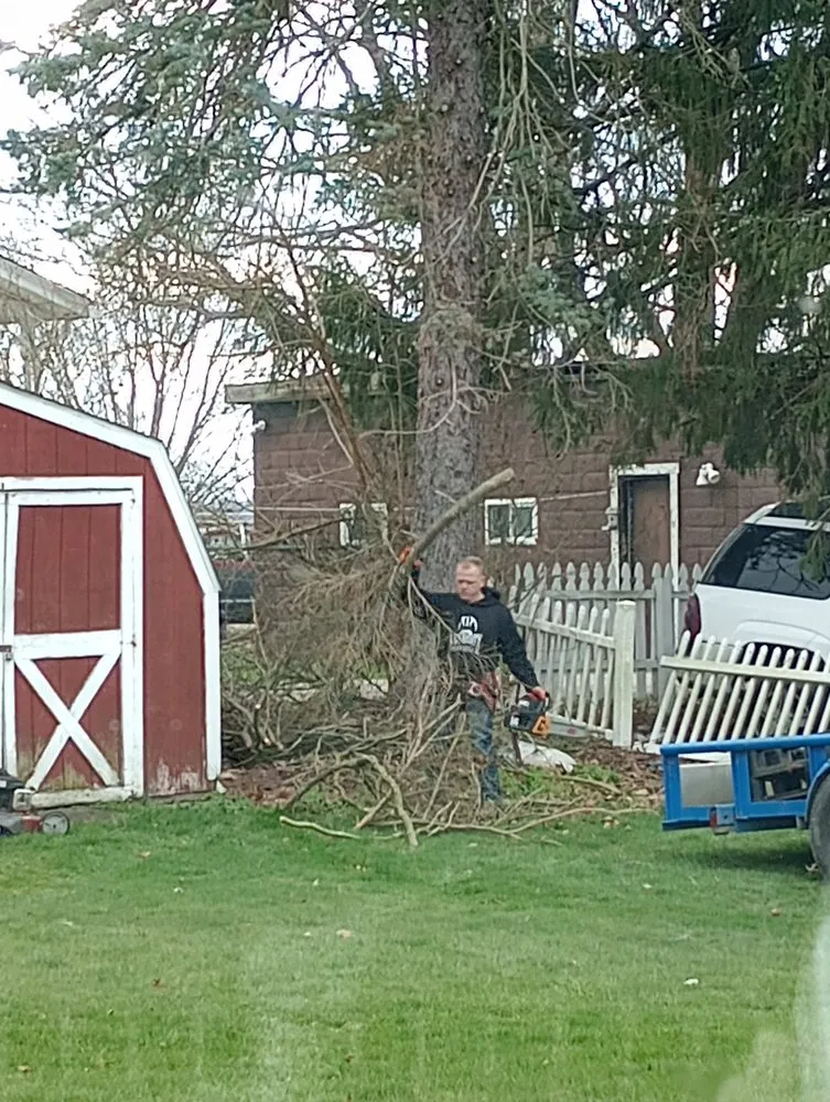 Local garden landscaping near you across Hopwood, PA - K&F Tree Service & Land Scaping