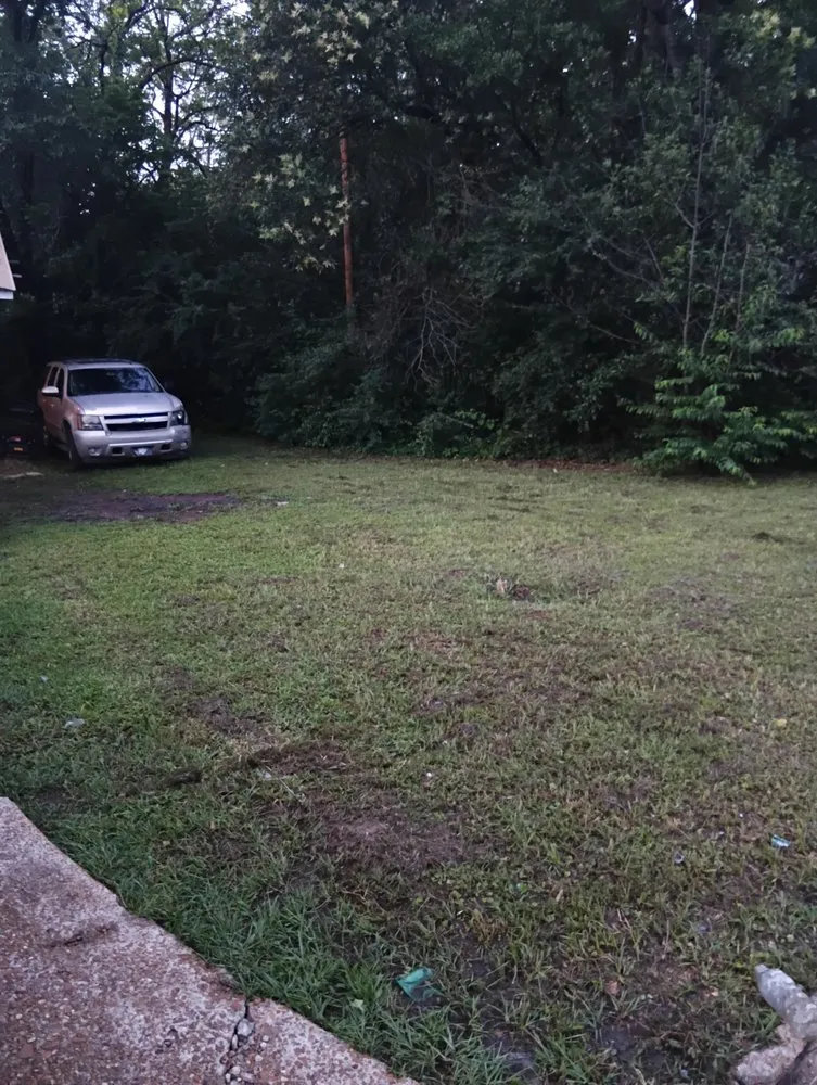 Reliable lawn mowing service with custom design across Jackson, MS - KG Detailing & Beaufing Lawn services