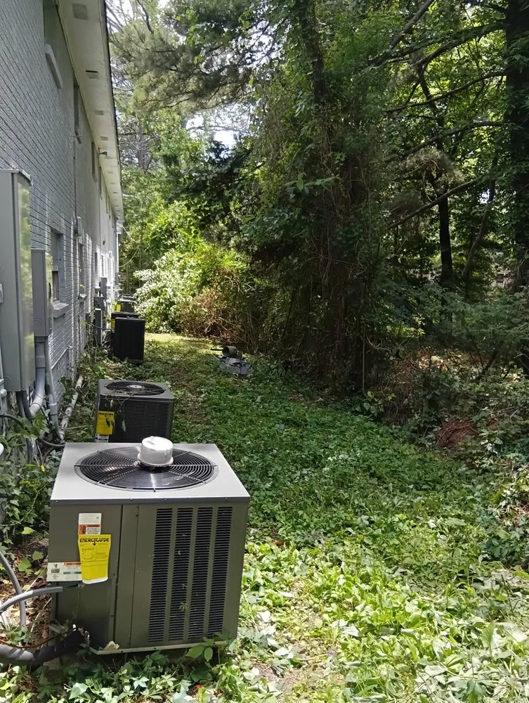 Expert landscaping services in Jackson, MS - KG Detailing & Beaufing Lawn services