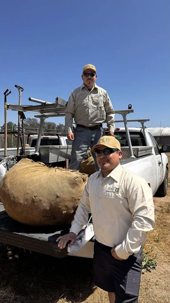 Professional landscape design in Arroyo Grande, CA by K&G Landscape Gardening