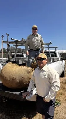 K&G Landscape Gardening Logo