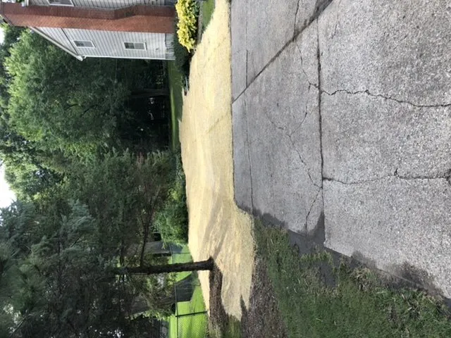 Expert yard maintenance experts serving Minneapolis, MN - KG Landscape Management