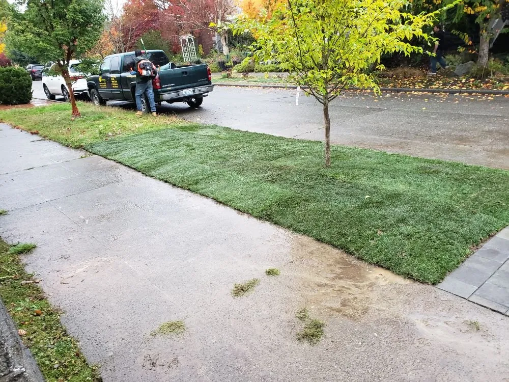 Local residential landscaping near you across Renton, WA - KG Landscaping Construction