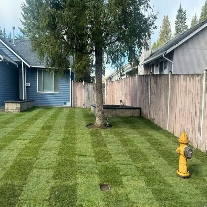 Local garden landscaping with custom design across Renton, WA - KG Landscaping Construction