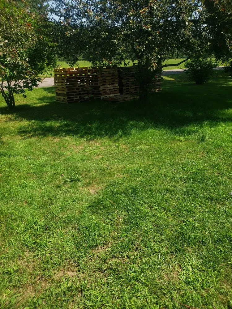 Top-rated yard cleanup service for residential properties in Chippewa Falls, WI by KG Lawn Care & Pressure Washing