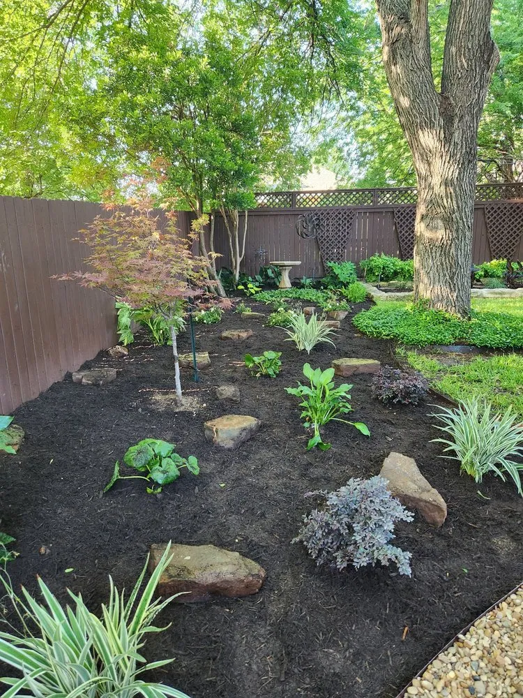 Top-rated yard cleanup service in Round Rock, TX by KG Lawn Care