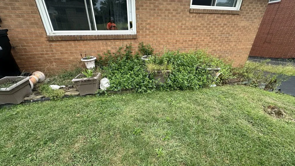 Affordable landscape design for outdoor upgrades in Ruffs Dale, PA by Kg Legacy Outdoor Solutions