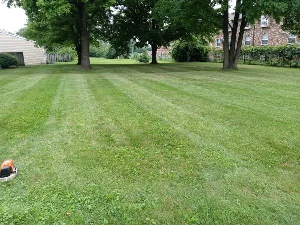 Local landscape installation for year-round maintenance across Columbus, OH - Kg2x Landscaping