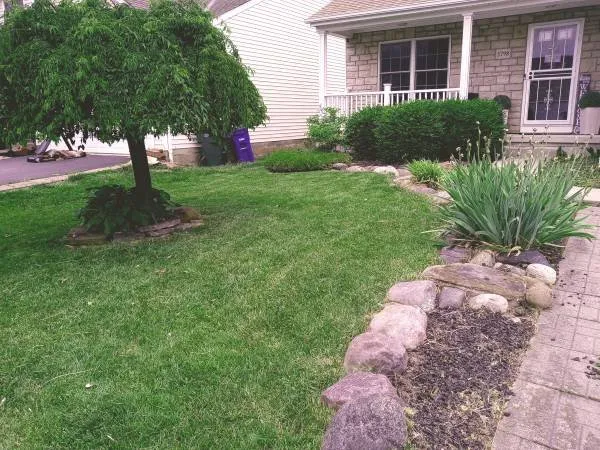 Reliable yard cleanup service experts serving Columbus, OH - Kg2x Landscaping