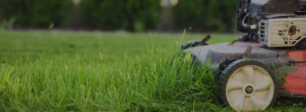 Professional landscaping services experts serving Graniteville, SC - KG'S Landscape