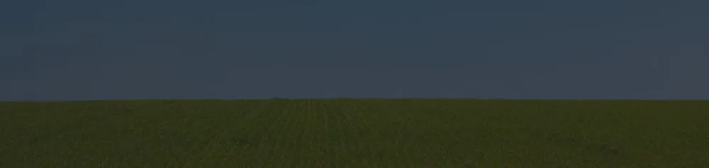 Trusted yard maintenance experts serving Graniteville, SC - KG'S Landscape