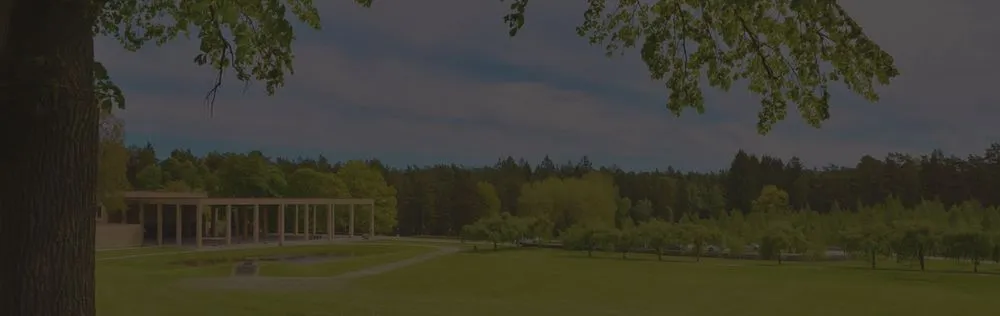 Reliable yard maintenance experts serving Graniteville, SC - KG'S Landscape