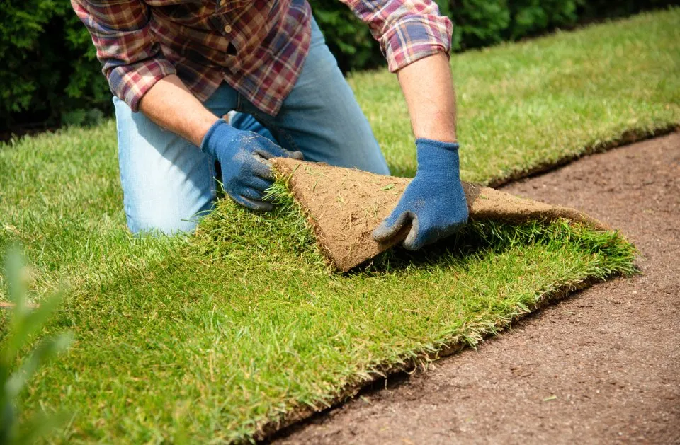 Top-rated yard cleanup service for outdoor upgrades in Graniteville, SC by KG'S Landscape