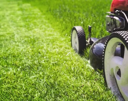 Trusted yard cleanup service experts serving Graniteville, SC - KG'S Landscape