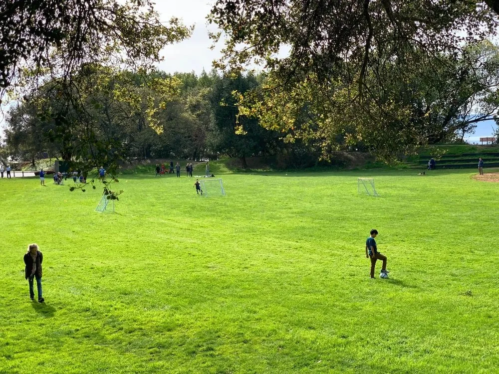 Local lawn care service in Joplin, MO by K&H Land Service