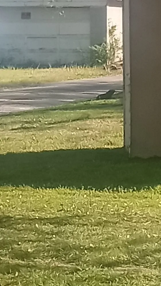 Expert landscape design for beautiful yards in Joplin, MO by K&H Land Service