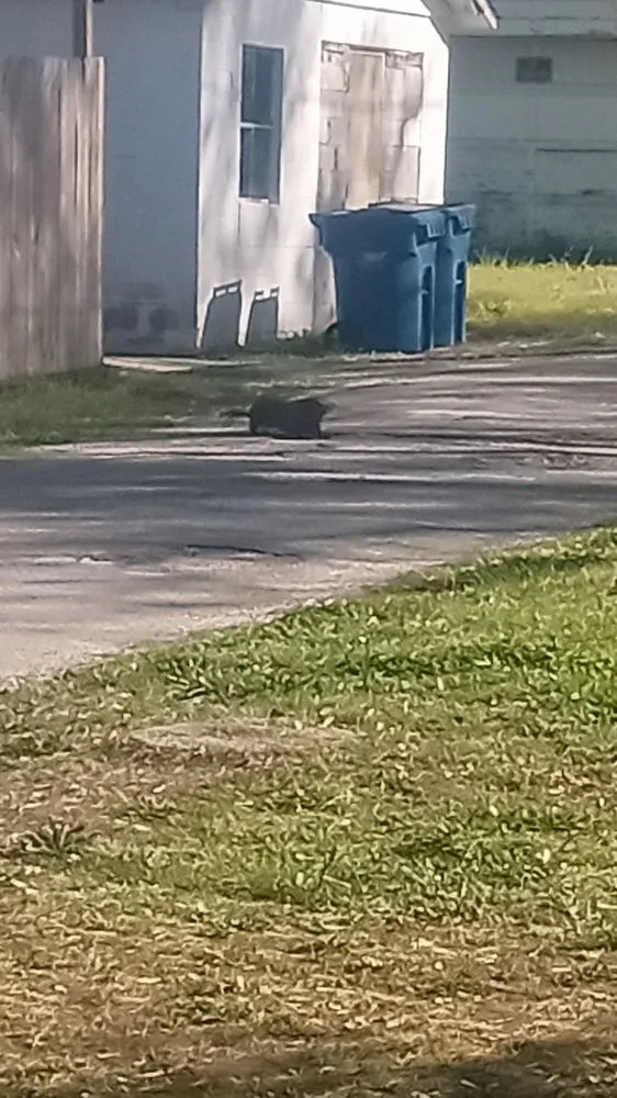 Professional lawn care service with custom design across Joplin, MO - K&H Land Service