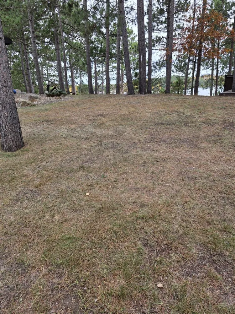 Trusted yard cleanup service in Park Rapids, MN - KH Mow and Snow