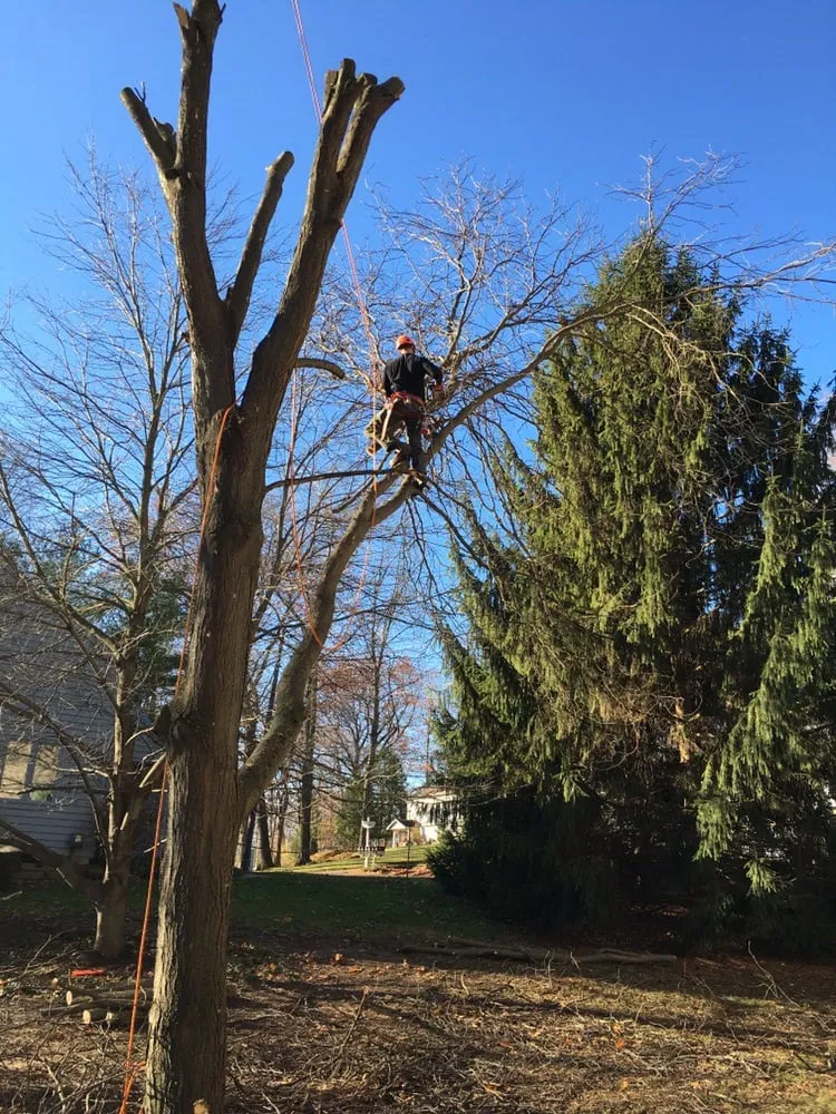 Expert landscape design for homes across Kalamazoo, MI - K&H Tree Service