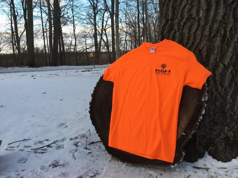 Professional landscape design for year-round maintenance in Kalamazoo, MI by K&H Tree Service