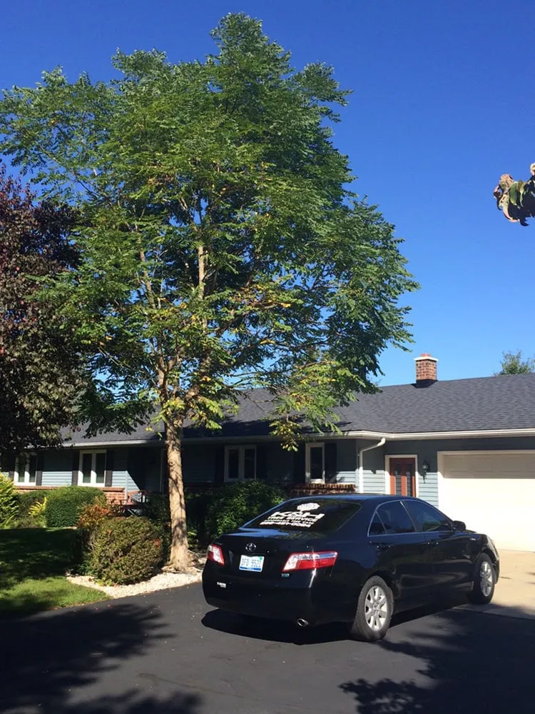 Affordable outdoor landscaping for beautiful yards across Kalamazoo, MI - K&H Tree Service