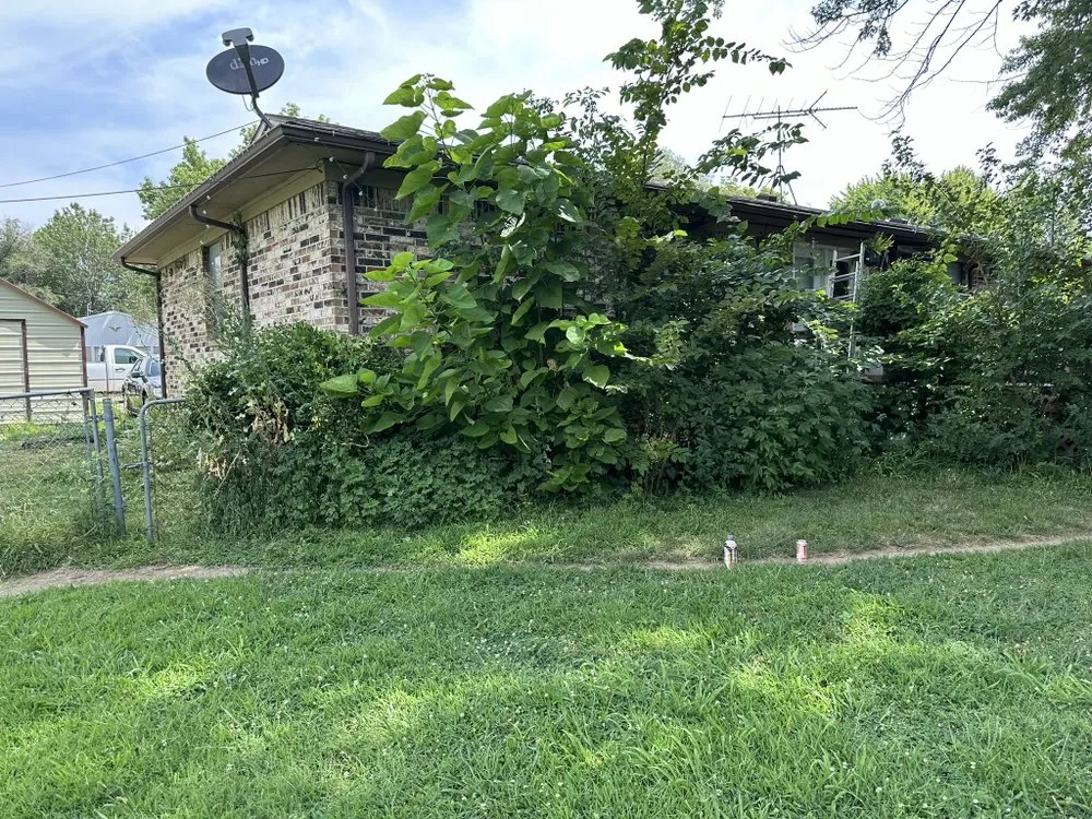 Affordable residential landscaping in Chanute, KS by Khaleb's Lawn Care