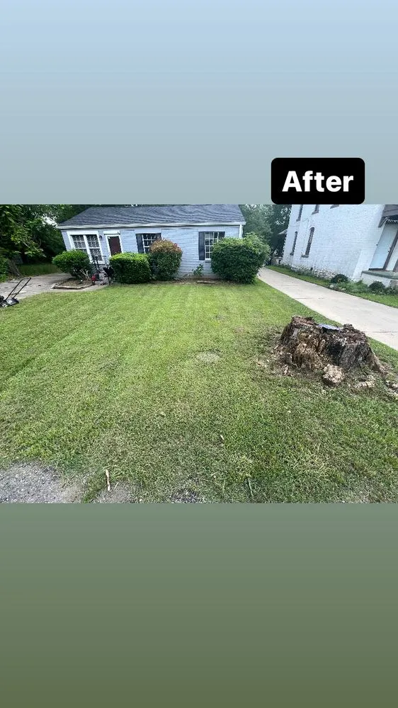Top-rated lawn care service in Birmingham, AL by Khalil’s Enchanted Edges