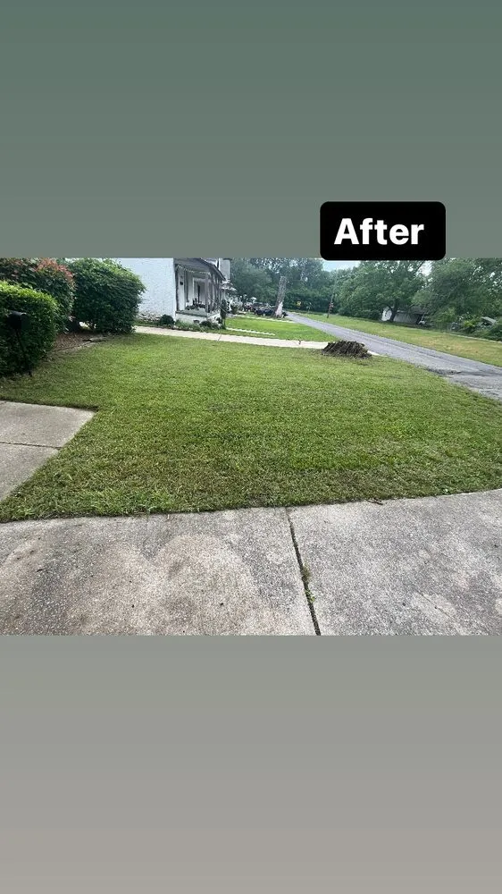 Local landscape design experts serving Birmingham, AL - Khalil’s Enchanted Edges