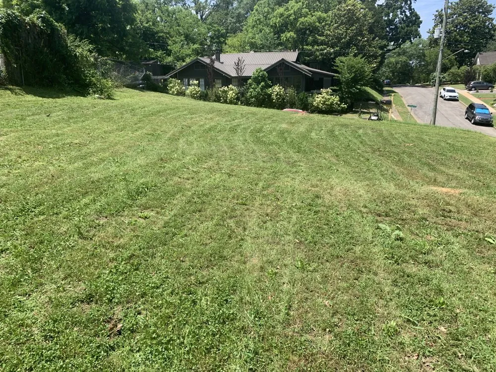 Affordable landscape design in Birmingham, AL - Khalil’s Enchanted Edges