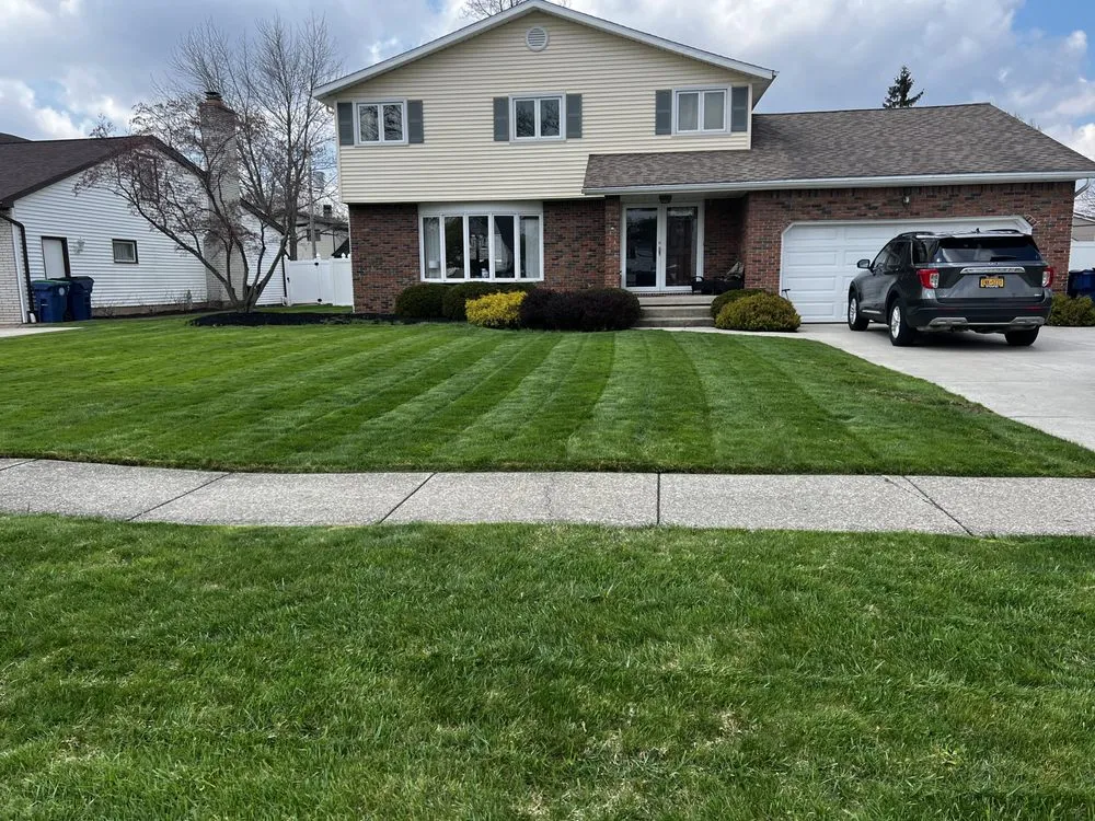 Top-rated yard cleanup service experts serving Buffalo, NY - Khan Enterprises