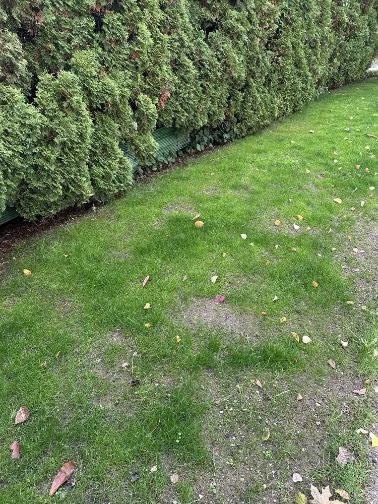 Custom landscape design experts serving Burien, WA - Khan Landscaping & Yardwork