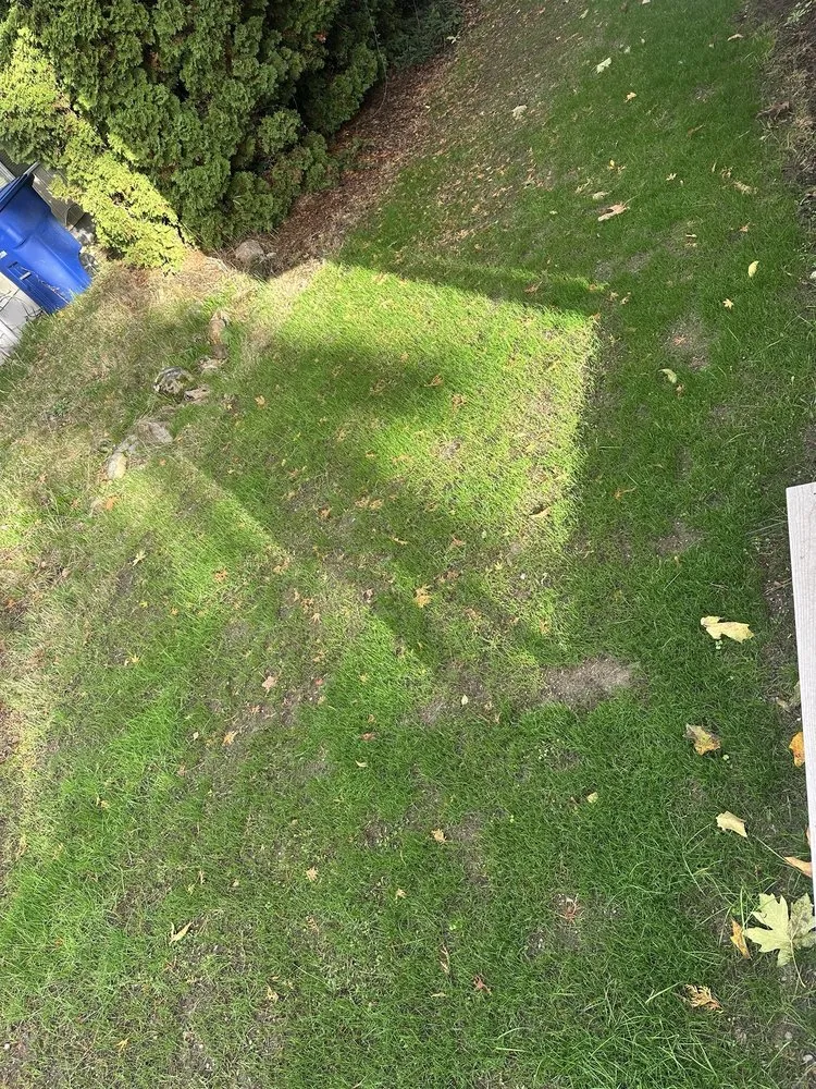 Local outdoor landscaping for beautiful yards in Burien, WA by Khan Landscaping & Yardwork