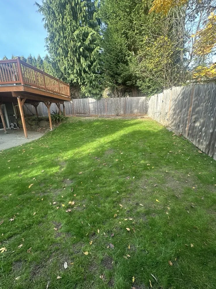 Affordable outdoor landscaping for beautiful yards across Burien, WA - Khan Landscaping & Yardwork