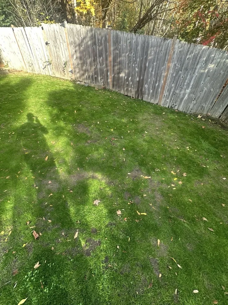 Top-rated outdoor landscaping in Burien, WA by Khan Landscaping & Yardwork