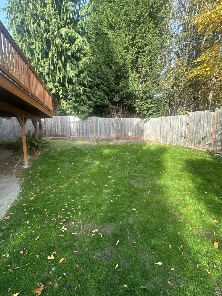Affordable landscape design experts serving Burien, WA - Khan Landscaping & Yardwork