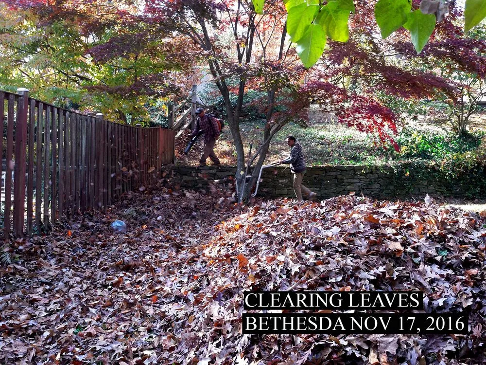 Affordable landscape installation experts serving Rockville, MD - Khan Lawn Service