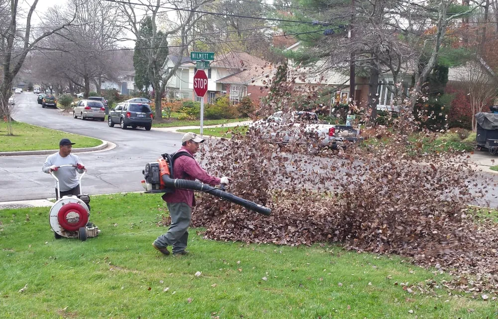 Trusted landscaping services for outdoor upgrades across Rockville, MD - Khan Lawn Service