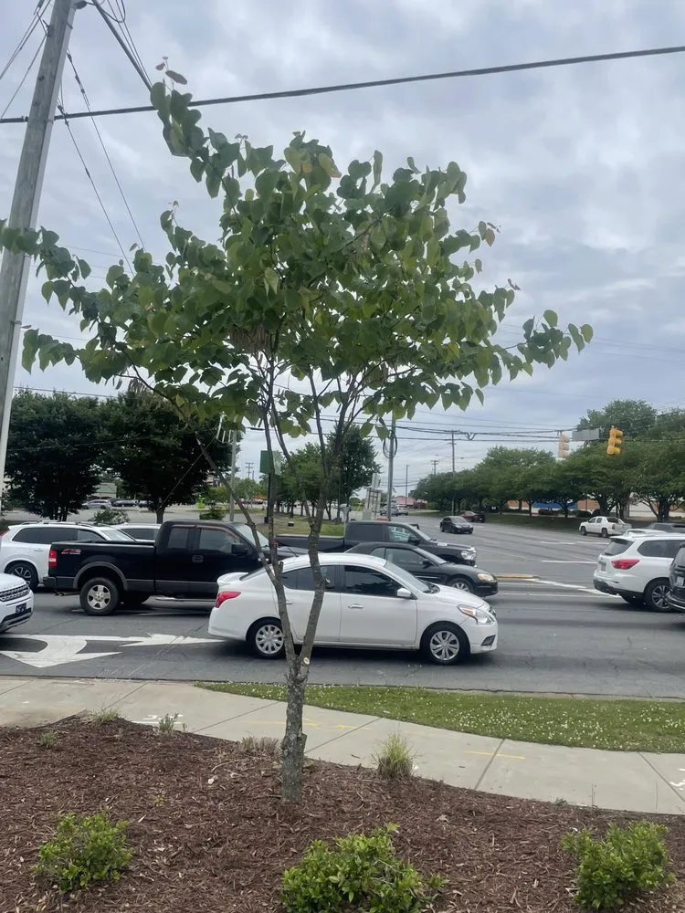 Custom garden landscaping in Gastonia, NC - Khayri’z Home Cleaning & Landscaping