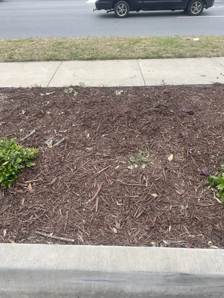 Top-rated yard cleanup service near you across Gastonia, NC - Khayri’z Home Cleaning & Landscaping