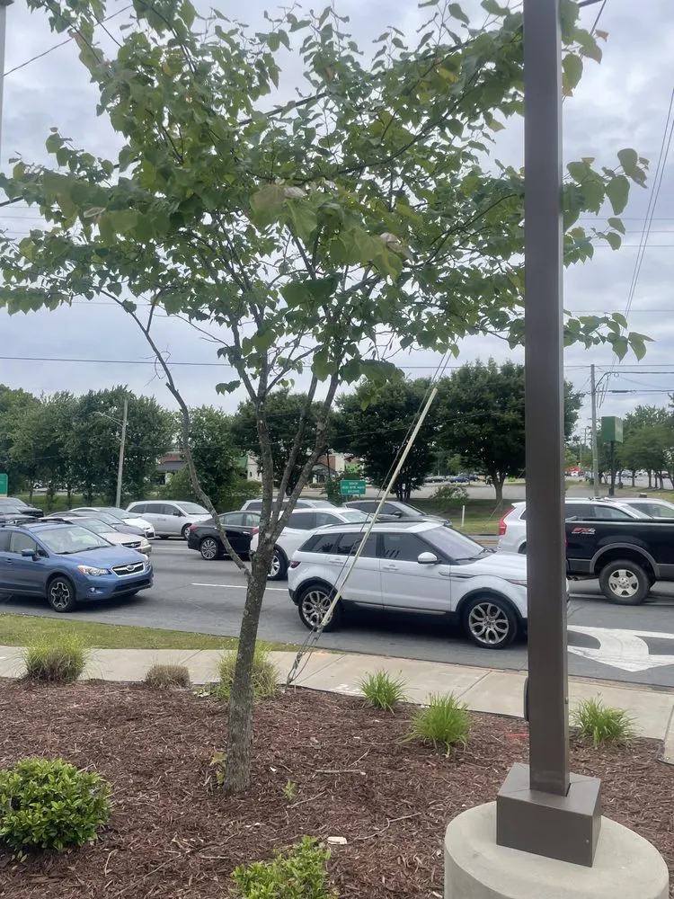 Trusted yard cleanup service experts serving Gastonia, NC - Khayri’z Home Cleaning & Landscaping