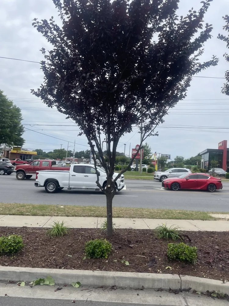 Custom outdoor landscaping experts serving Gastonia, NC - Khayri’z Home Cleaning & Landscaping