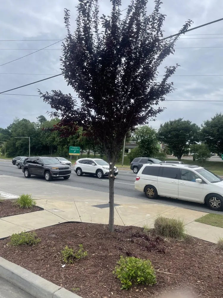 Affordable residential landscaping in Gastonia, NC - Khayri’z Home Cleaning & Landscaping