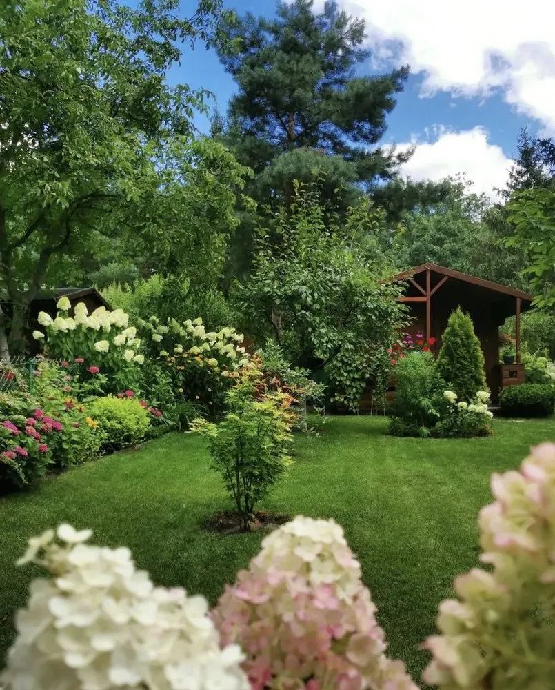 Expert residential landscaping with custom design across Chicago, IL - Kheevon Alexander