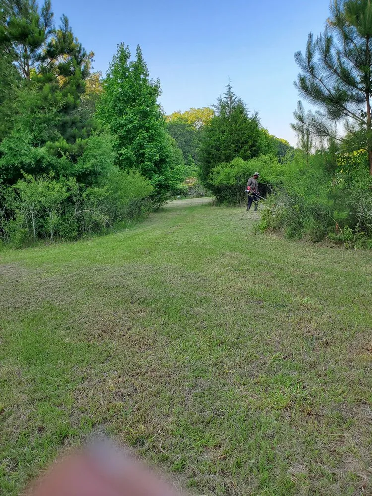 Professional landscaping services in Macon, GA - Khutt Creators